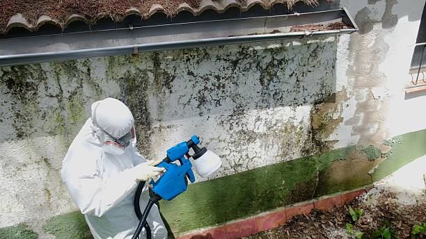 Mold Remediation service in Bethel, Bethel, NC